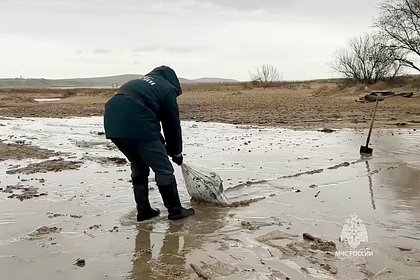 В Севастополе объявлен режим федеральной ЧС из-за разлива мазута. Это поможет быстрее ликвидировать последствия