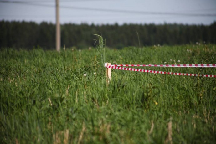 Продажа земли на торгах в ноябре принесла в бюджет Перми 2,3 млн рублей