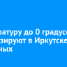 Температуру до 0 градусов прогнозируют в Иркутске на выходных