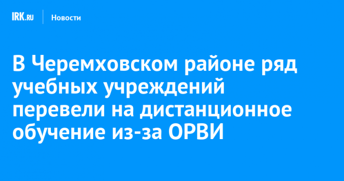 В Черемховском районе ряд учебных учреждений перевели на дистанционное обучение из-за ОРВИ