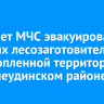 Вертолет МЧС эвакуировал пятерых лесозаготовителей с подтопленной территории в Нижнеудинском районе