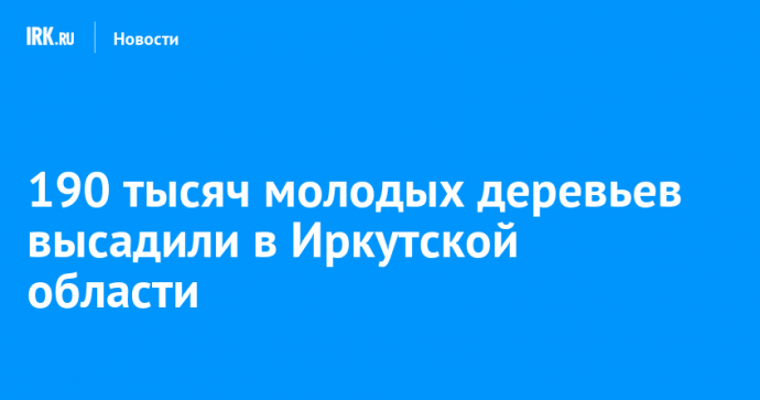 190 тысяч молодых деревьев высадили в Иркутской области