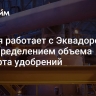 Россия работает с Эквадором над определением объема экспорта удобрений