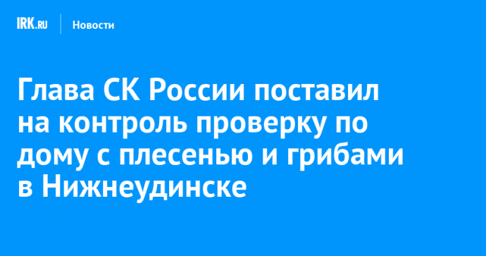 Глава СК России поставил на контроль проверку по дому с плесенью и грибами в Нижнеудинске