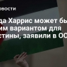 Победа Харрис может быть лучшим вариантом для Палестины, заявили в ООН