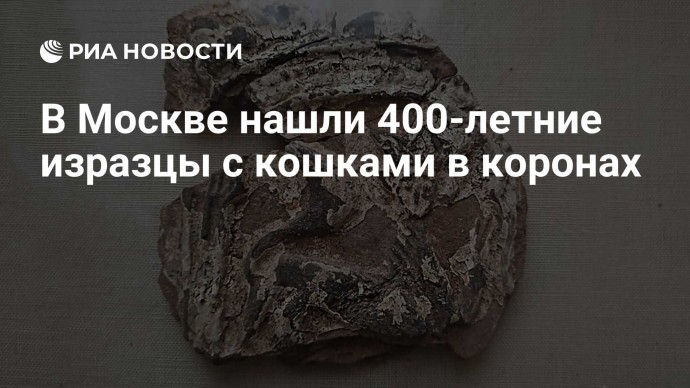 В Москве нашли 400-летние изразцы с кошками в коронах