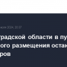 В Волгоградской области в пунктах временного размещения остаются 416 пассажиров