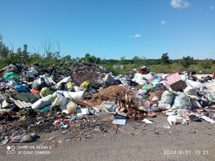 Прокуратура вмешалась в «мусорный» коллапс приморского города