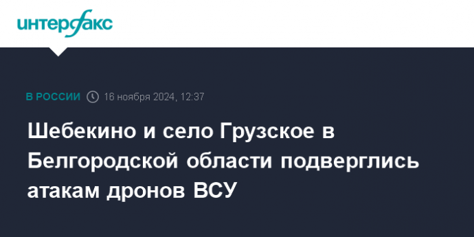 Шебекино и село Грузское в Белгородской области подверглись атакам дронов ВСУ