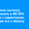 Иркутянин пытался перебросить в ИК №6 сверток с наркотиком, привязав его к яблоку