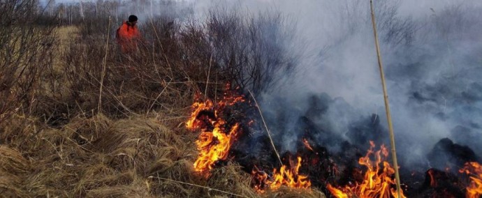 Лесным пожарам в Новосибирской области разгореться не дали