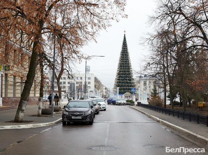 В Белгородской области в 1,7 раза выросло число выданных автокредитов