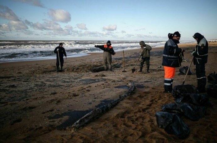 «Единая Россия» организует мониторинг Черного моря после ликвидации последствий ЧС