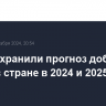 США сохранили прогноз добычи нефти в стране в 2024 и 2025 гг.