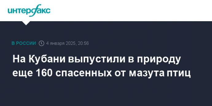 На Кубани выпустили в природу еще 160 спасенных от мазута птиц