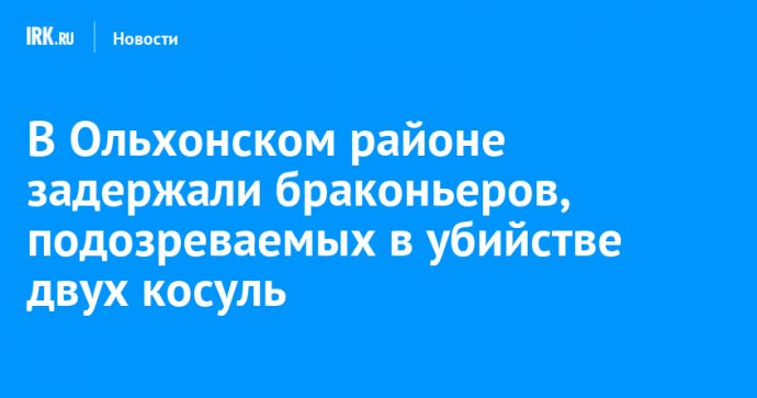 В Ольхонском районе задержали браконьеров, подозреваемых в убийстве двух косуль