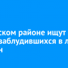 В Братском районе ищут двоих заблудившихся в лесу мужчин