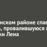 В Киренском районе спасли косулю, провалившуюся под лед реки Лена