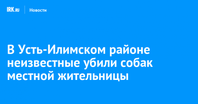 В Усть-Илимском районе неизвестные убили собак местной жительницы