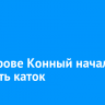 На острове Конный начали заливать каток