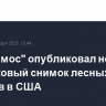 "Роскосмос" опубликовал новый спутниковый снимок лесных пожаров в США