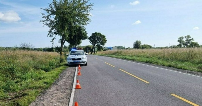 Под Зеленоградском мотоциклист врезался в корову на дороге, мужчина в больнице