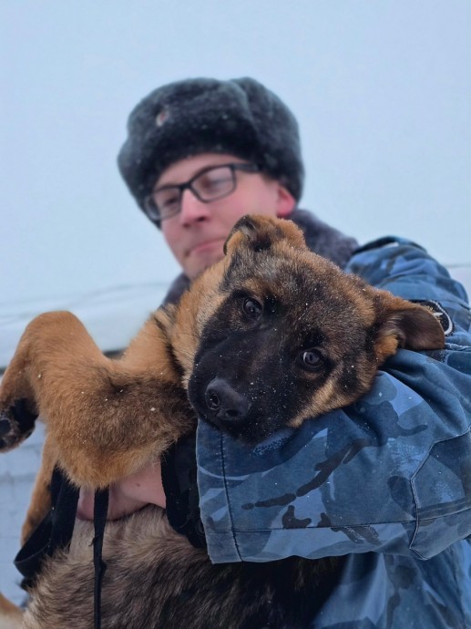 В Кировскую область приехали три хвостатых «правоохранителя»