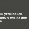 Дайверы установили новогоднюю ель на дне Байкала