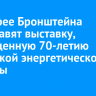 В галерее Бронштейна представят выставку, посвященную 70-летию Иркутской энергетической системы