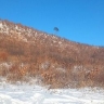 В Приамурье ослабнут морозы