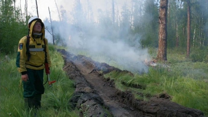 За день площадь лесных пожаров в России увеличилась на 15 процентов