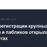 Форма регистрации крупных каналов и пабликов открылась на Госуслугах