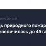 Площадь природного пожара в Крыму увеличилась до 45 га