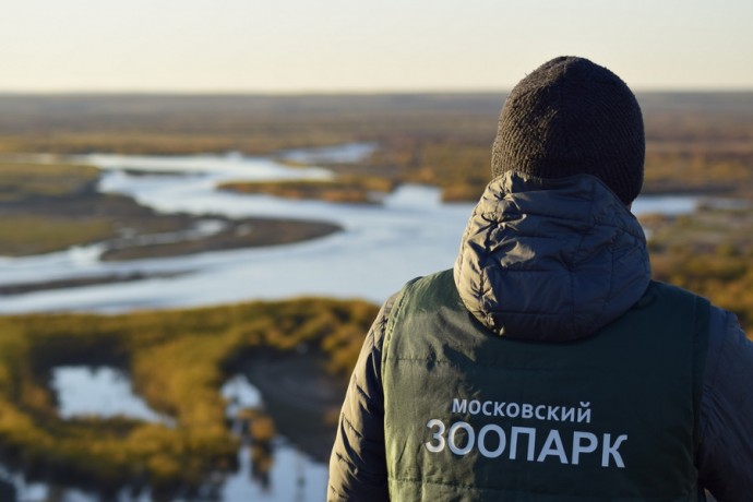 В Забайкалье искали и не нашли манулов