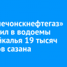 «Верхнечонскнефтегаз» выпустил в водоемы Прибайкалья 19 тысяч мальков сазана