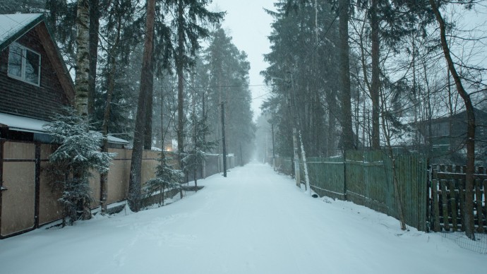 Снег и сильный ветер: в МЧС рассказали о погоде в Ленобласти на понедельник