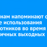 Иркутянам напоминают о запрете использования беспилотников во время праздничных выходных