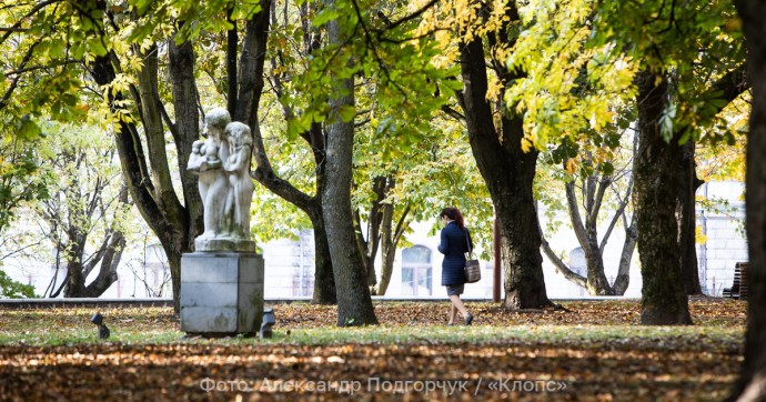 Безоблачное небо и лёгкий южный ветерок: прогноз погоды на пятницу