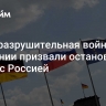 "Саморазрушительная война". В Германии призвали остановить войну с Россией