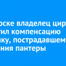 В Ангарске владелец цирка выплатил компенсацию мальчику, пострадавшему от нападения пантеры