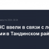 Режим ЧС ввели в связи с лесными пожарами в Тандинском районе Тувы