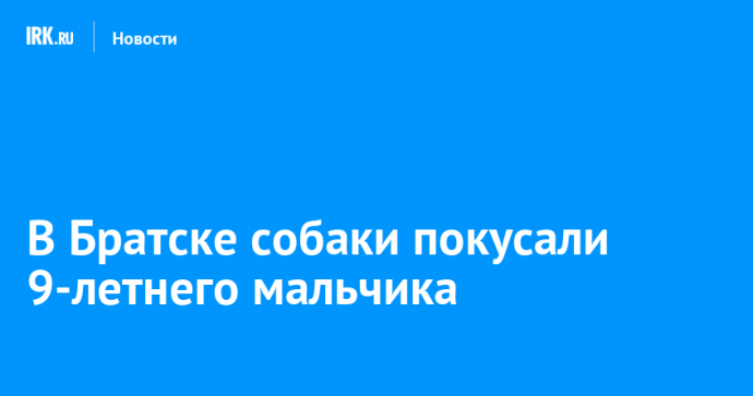 В Братске собаки покусали 9-летнего мальчика