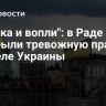 "Паника и вопли": в Раде раскрыли тревожную правду о разделе Украины