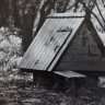 В Тульской областной научной библиотеке откроется фотовыставка «Осень»