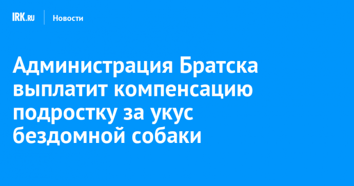 Администрация Братска выплатит компенсацию подростку за укус бездомной собаки