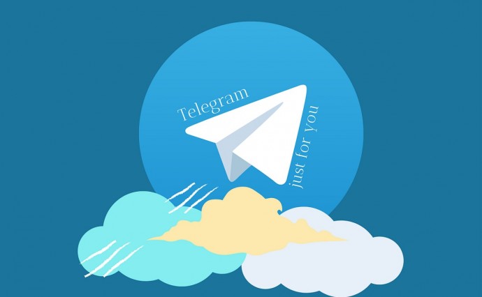 В Госдуме призвали защитить Telegram