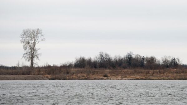 Уровень воды в реке Томь впервые за сутки снизился
