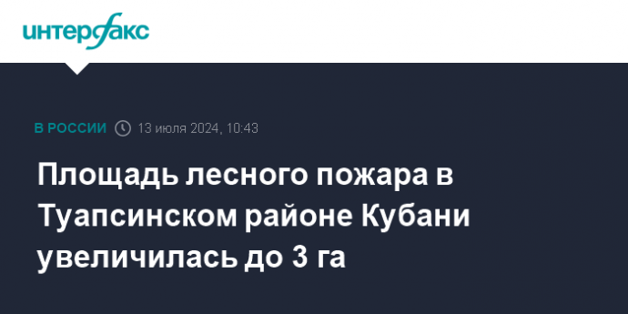 Площадь лесного пожара в Туапсинском районе Кубани увеличилась до 3 га