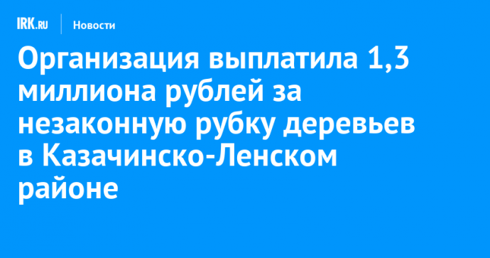 Организация выплатила 1,3 миллиона рублей за незаконную рубку деревьев в Казачинско-Ленском районе