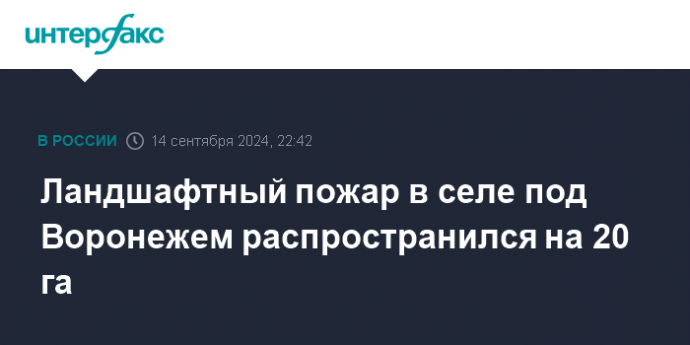 Ландшафтный пожар в селе под Воронежем распространился на 20 га